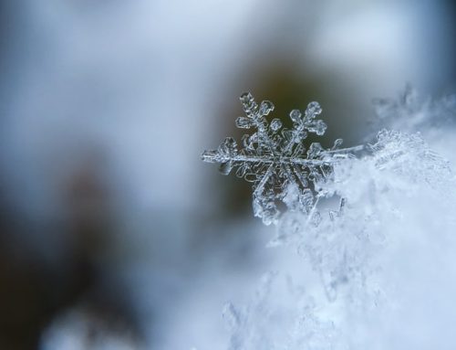 How to Cope With Anxiety During the Holidays